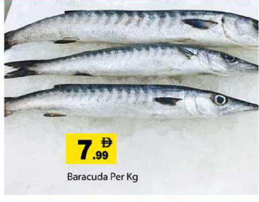 available at جلف هايبرماركت ذ.م.م in الإمارات العربية المتحدة , الامارات - رَأْس ٱلْخَيْمَة