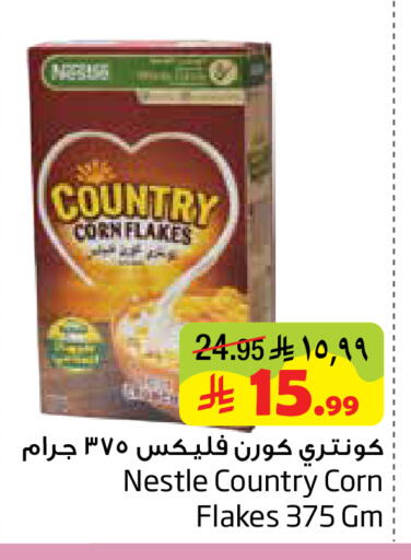 available at Layan Hyper in KSA, Saudi Arabia, Saudi - Dammam