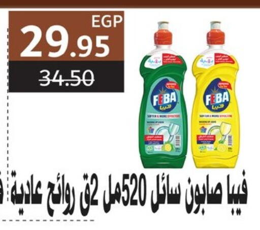 available at Flamingo Hyper Market in Egypt - Cairo