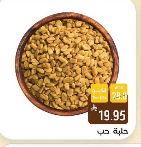 available at Shubra AlTaif in KSA, Saudi Arabia, Saudi - Ta'if