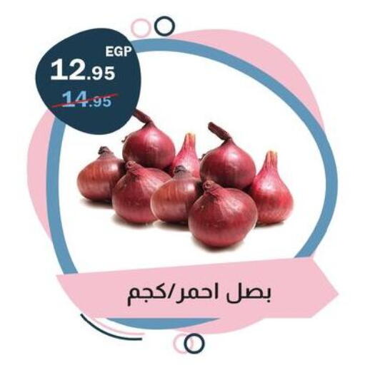 available at Flamingo Hyper Market in Egypt - Cairo