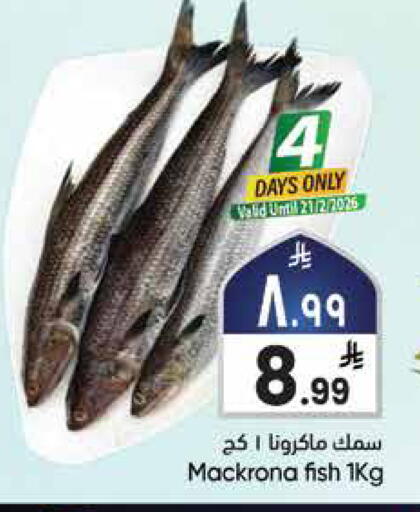 available at ستي فلاور in مملكة العربية السعودية, السعودية, سعودية - حائل‎