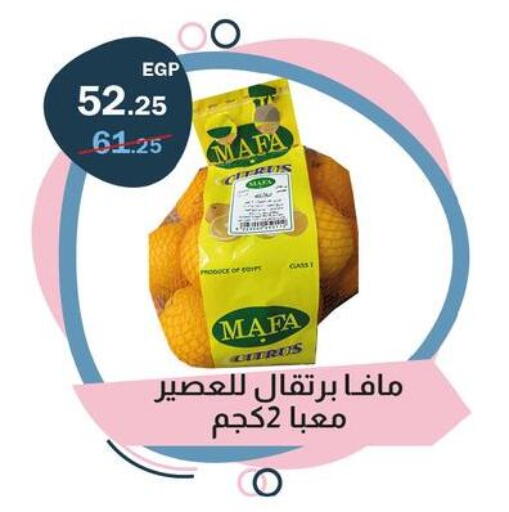 available at Flamingo Hyper Market in Egypt - Cairo