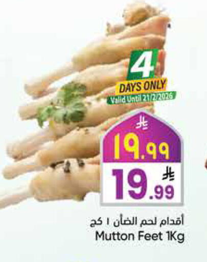 available at ستي فلاور in مملكة العربية السعودية, السعودية, سعودية - سكاكا