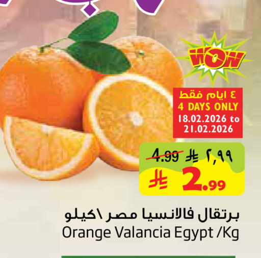 Orange from Valancia Egypt available at Layan Hyper in KSA, Saudi Arabia, Saudi - Dammam