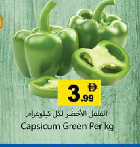 Capsicum available at Gulf Hypermarket LLC in UAE - Ras al Khaimah
