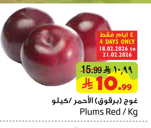 Plums available at Layan Hyper in KSA, Saudi Arabia, Saudi - Dammam