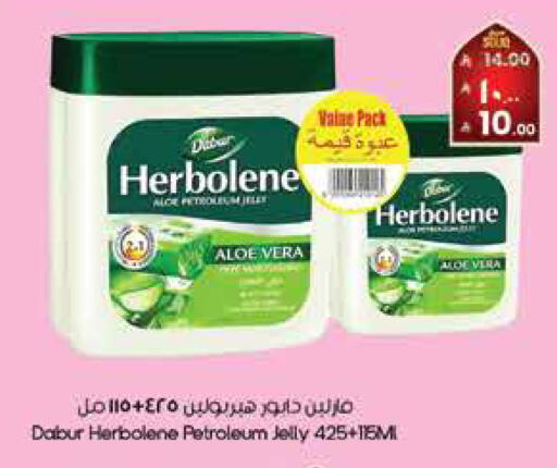 available at City Flower in KSA, Saudi Arabia, Saudi - Hail