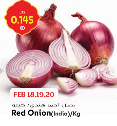 Onion from India available at Grand Hyper in Kuwait - Kuwait City