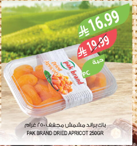 Apricot available at Farm  in KSA, Saudi Arabia, Saudi - Saihat