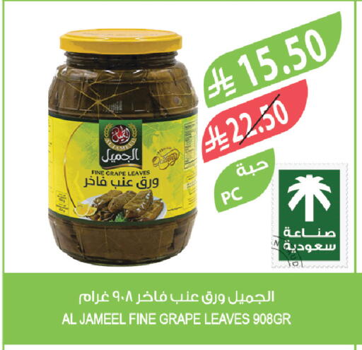 available at Farm  in KSA, Saudi Arabia, Saudi - Tabuk