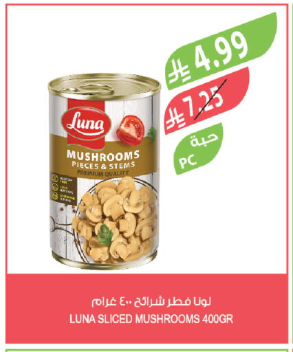 available at Farm  in KSA, Saudi Arabia, Saudi - Najran