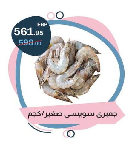 available at فلامنجو هايبرماركت in Egypt - القاهرة