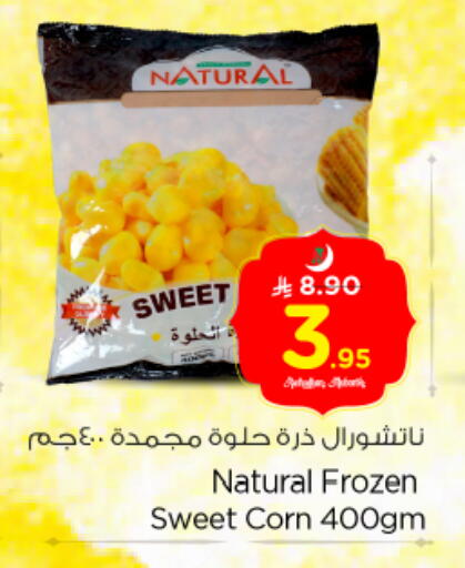 available at نستو in مملكة العربية السعودية, السعودية, سعودية - الخرج