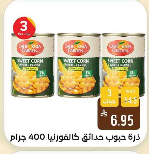available at Shubra AlTaif in KSA, Saudi Arabia, Saudi - Ta'if