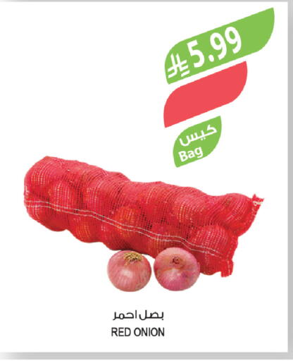 Onion available at Farm  in KSA, Saudi Arabia, Saudi - Al Khobar