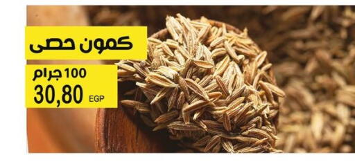 available at Flamingo Hyper Market in Egypt - Cairo