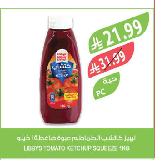 Tomato available at Farm  in KSA, Saudi Arabia, Saudi - Khafji