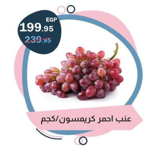 available at Flamingo Hyper Market in Egypt - Cairo