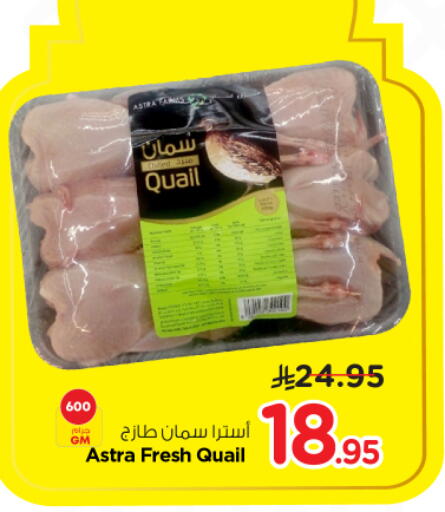 available at نستو in مملكة العربية السعودية, السعودية, سعودية - الخرج