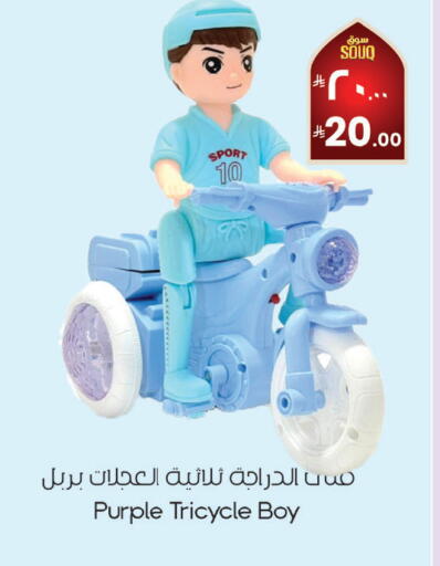 available at City Flower in KSA, Saudi Arabia, Saudi - Najran