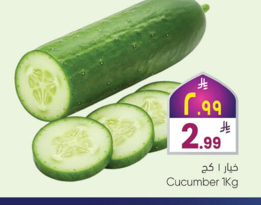Cucumber available at City Flower in KSA, Saudi Arabia, Saudi - Najran