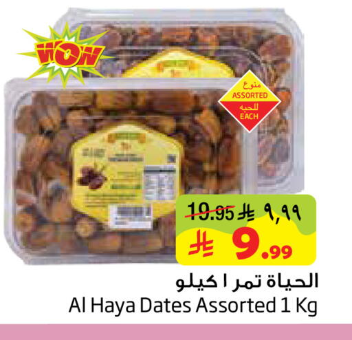 available at Layan Hyper in KSA, Saudi Arabia, Saudi - Dammam