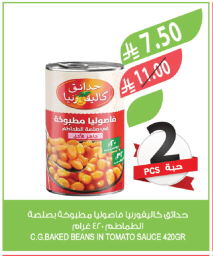 Tomato available at Farm  in KSA, Saudi Arabia, Saudi - Najran