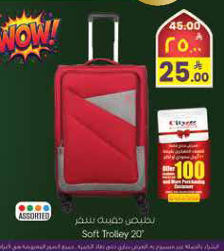 available at City Flower in KSA, Saudi Arabia, Saudi - Hail