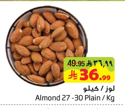 available at Layan Hyper in KSA, Saudi Arabia, Saudi - Dammam