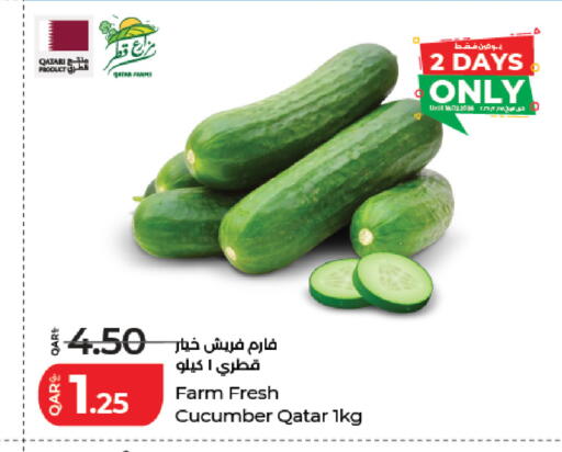 Cucumber from Qatar available at لولو هايبرماركت in قطر - الشحانية