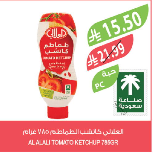Tomato available at Farm  in KSA, Saudi Arabia, Saudi - Dammam