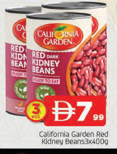 available at المدينة in الإمارات العربية المتحدة , الامارات - الشارقة / عجمان