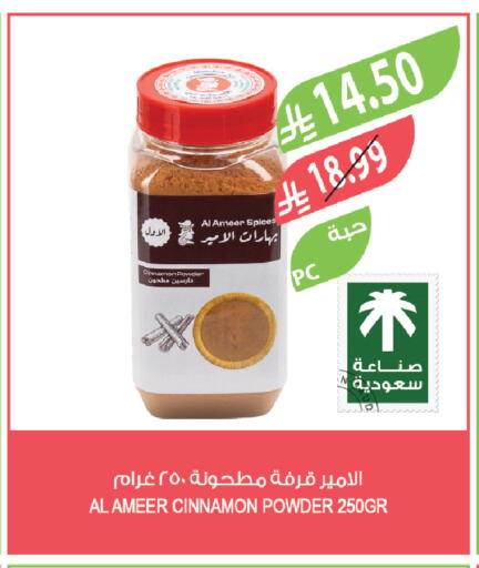 Cinnamon available at Farm  in KSA, Saudi Arabia, Saudi - Arar