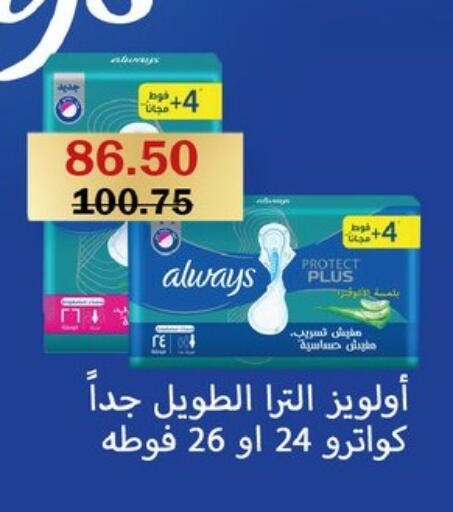 available at Flamingo Hyper Market in Egypt - Cairo