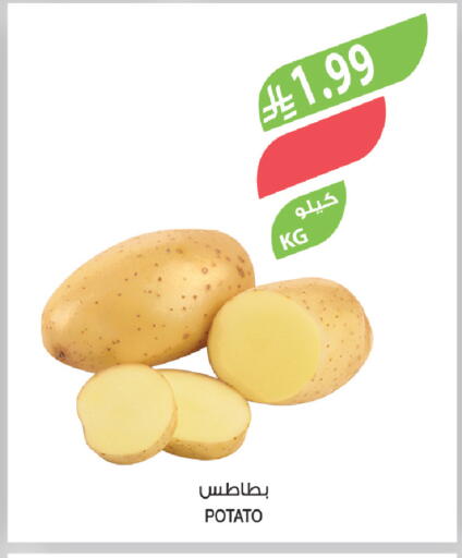 Potato available at المزرعة in مملكة العربية السعودية, السعودية, سعودية - الجبيل‎