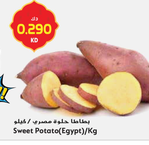 Sweet Potato from Egypt available at Grand Hyper in Kuwait - Ahmadi Governorate