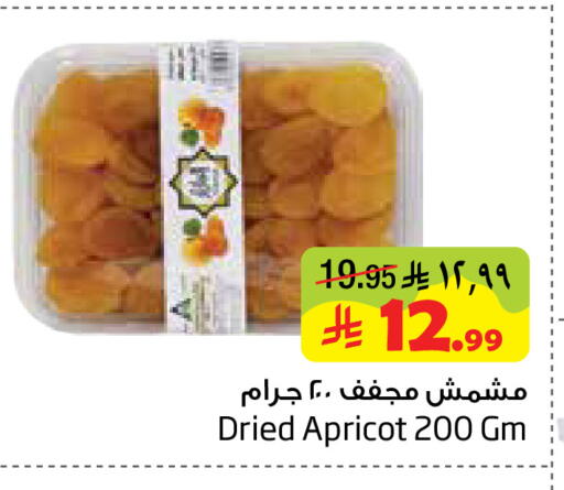 Apricot available at Layan Hyper in KSA, Saudi Arabia, Saudi - Dammam