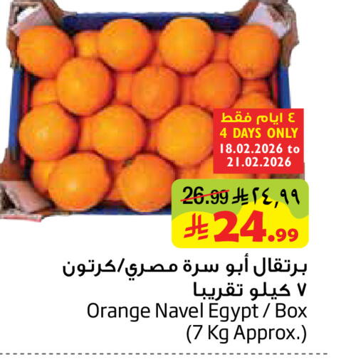 Orange from Egypt available at Layan Hyper in KSA, Saudi Arabia, Saudi - Dammam