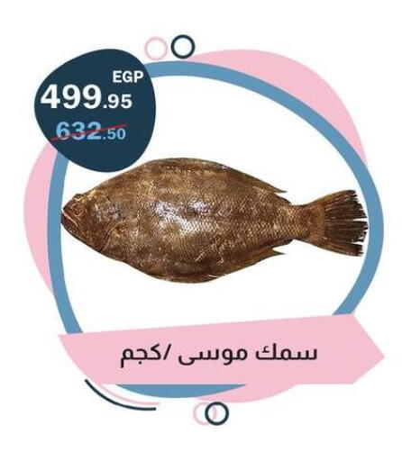 available at فلامنجو هايبرماركت in Egypt - القاهرة
