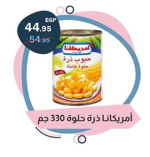 available at Flamingo Hyper Market in Egypt - Cairo