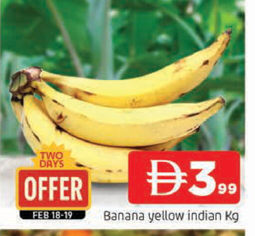 Banana from India available at المدينة in الإمارات العربية المتحدة , الامارات - الشارقة / عجمان