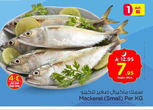 available at Nesto in KSA, Saudi Arabia, Saudi - Dammam