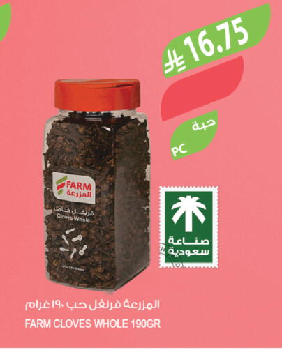 Cloves available at Farm  in KSA, Saudi Arabia, Saudi - Jazan