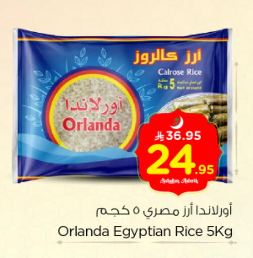 available at Nesto in KSA, Saudi Arabia, Saudi - Al Majmaah