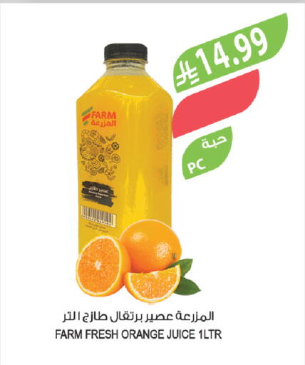 Orange available at Farm  in KSA, Saudi Arabia, Saudi - Arar