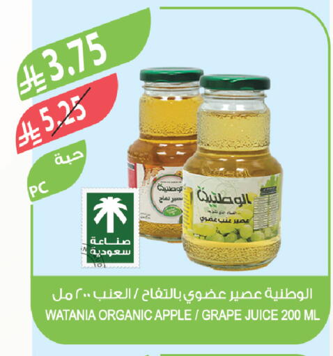 Apple available at Farm  in KSA, Saudi Arabia, Saudi - Najran