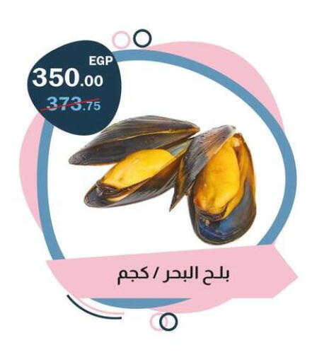 available at فلامنجو هايبرماركت in Egypt - القاهرة