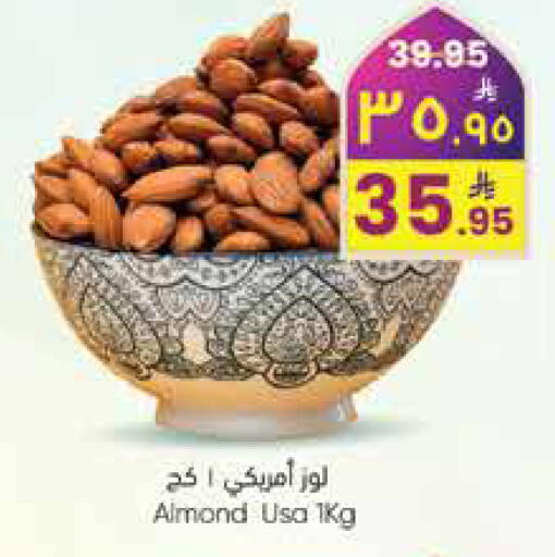 available at City Flower in KSA, Saudi Arabia, Saudi - Hail