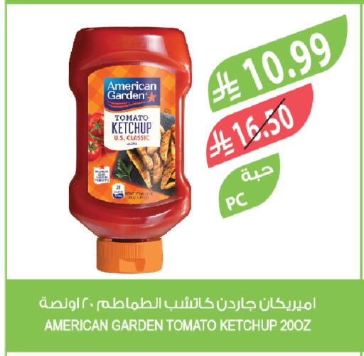 Tomato available at Farm  in KSA, Saudi Arabia, Saudi - Qatif